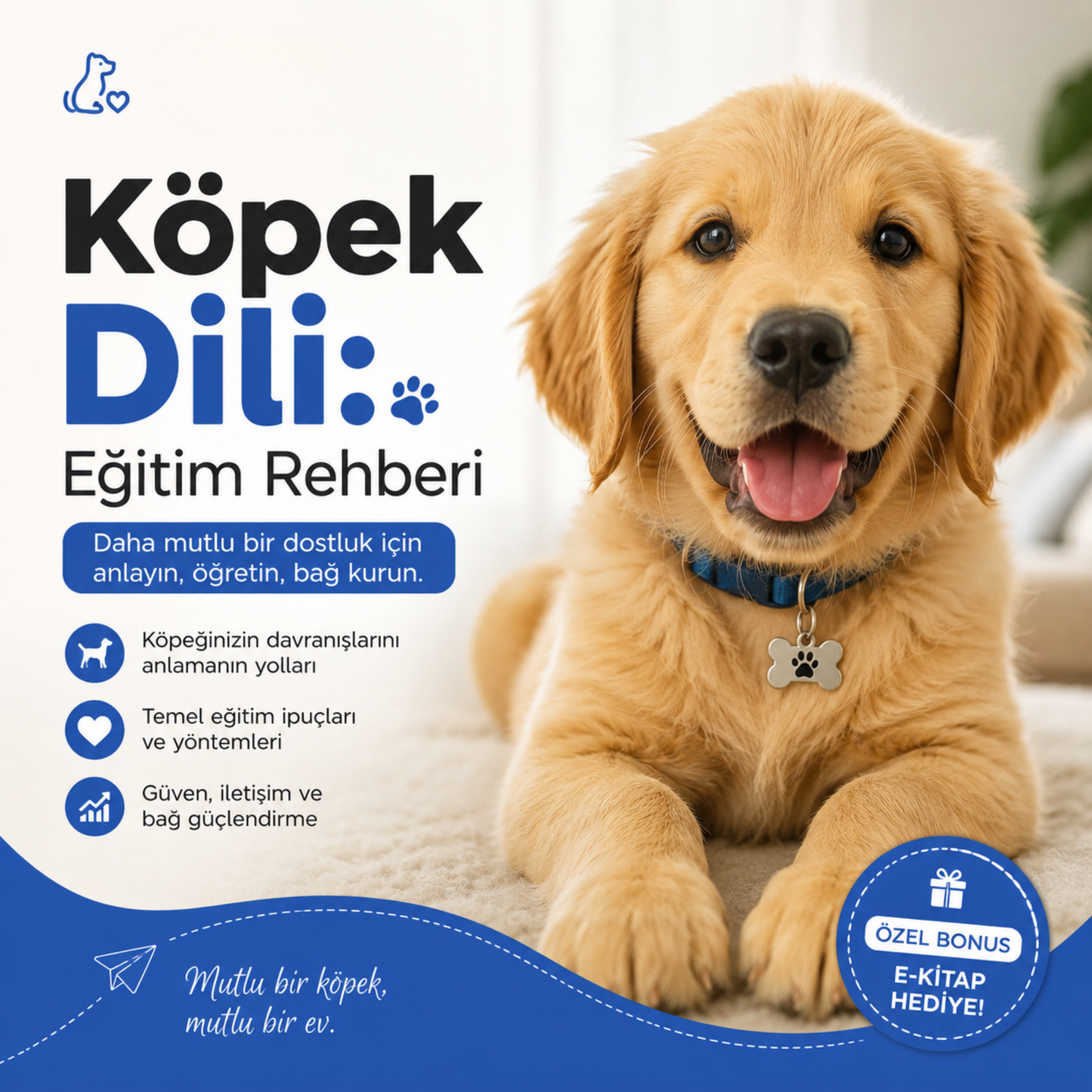 Glucora™ Köpek Dili: Eğitim Rehberi