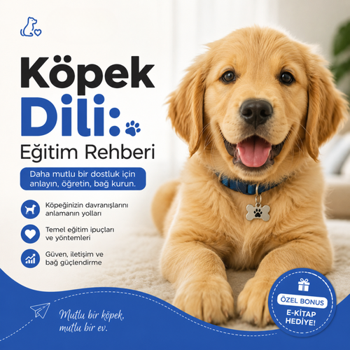 Glucora™ Köpek Dili: Eğitim Rehberi